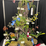 2022 OSWP Spring Show
