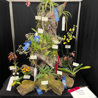 2022 OSWP Spring Show