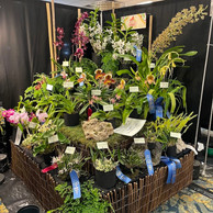 2022 OSWP Spring Show