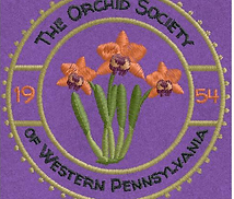 image (3).png