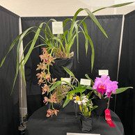2022 OSWP Spring Show
