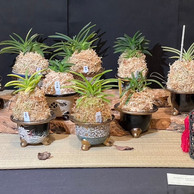 2022 OSWP Spring Show