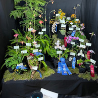2022 OSWP Spring Show