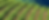Rows of Crops.png