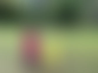 रेणु आर्ट गैलरी