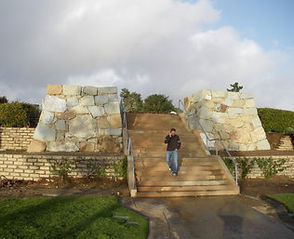 カリフォルニアベンチュラー