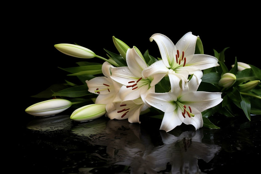 百合の花