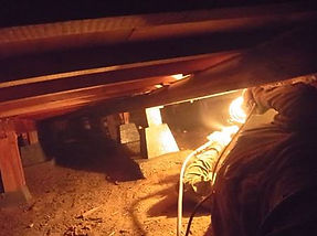 床下駆除作業