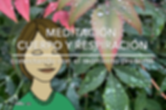 Meditacion-Cuerpo&Respiracion.png