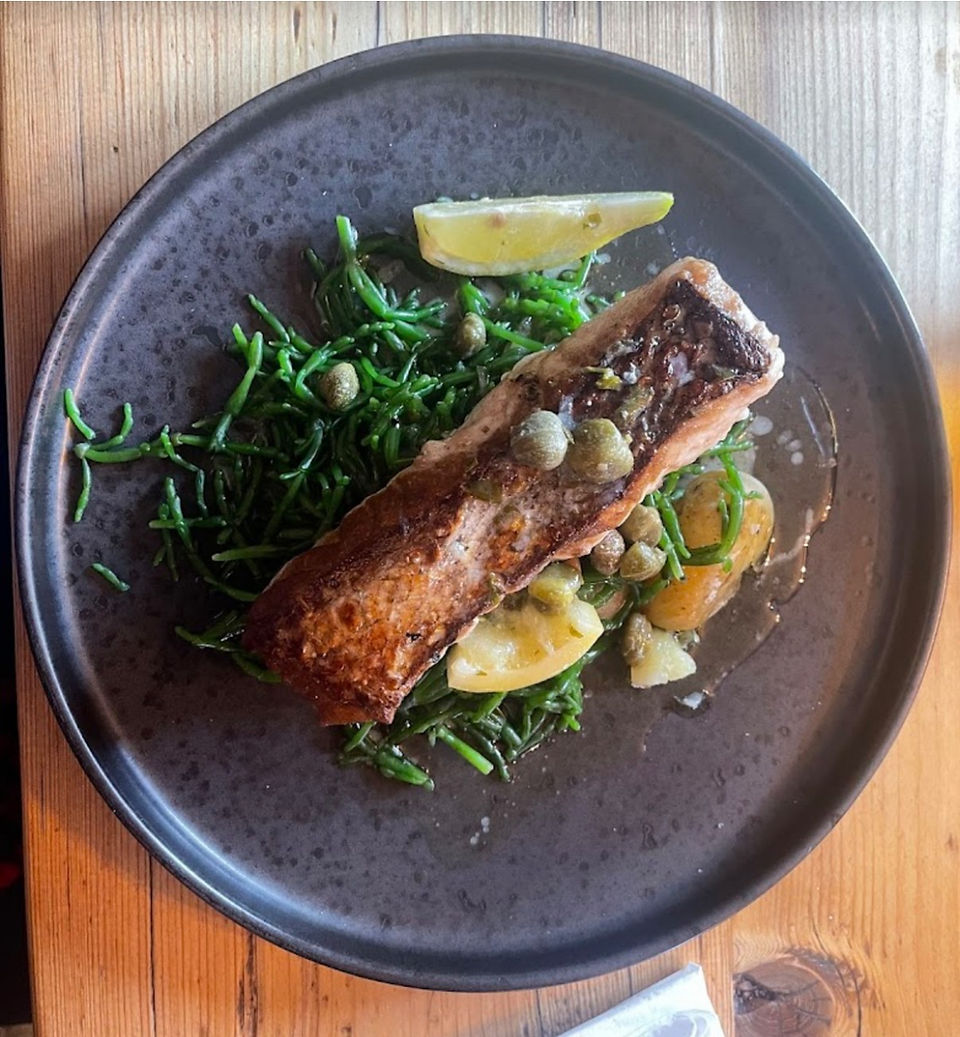 Salmon meal