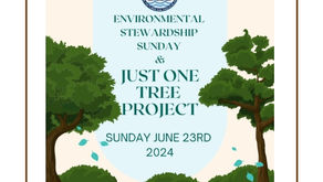 Sunday 23rd, June 2024 Pentecost 5