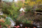 1F4981BD-DD07-469D-9D6E-B15ABAEDDECC.jpeg