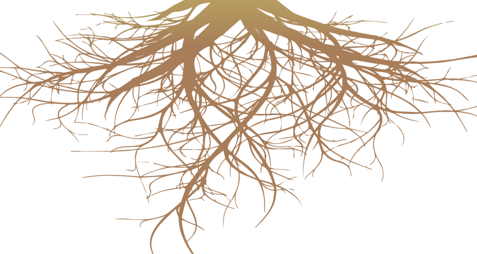 transparent-tree-with-heart-roots-20_edited_edited_edited.png