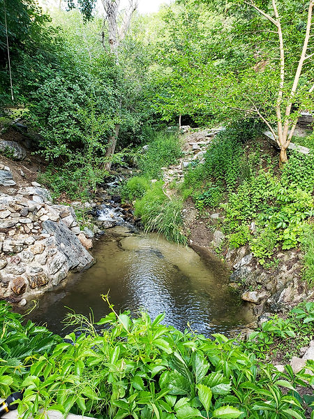 rushing waters.jpeg