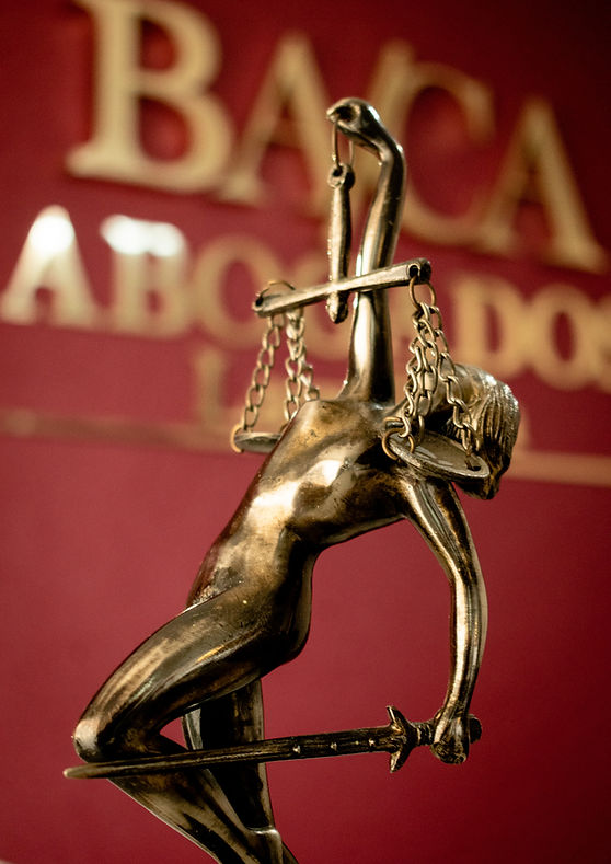 LOGO THEMIS.jpeg