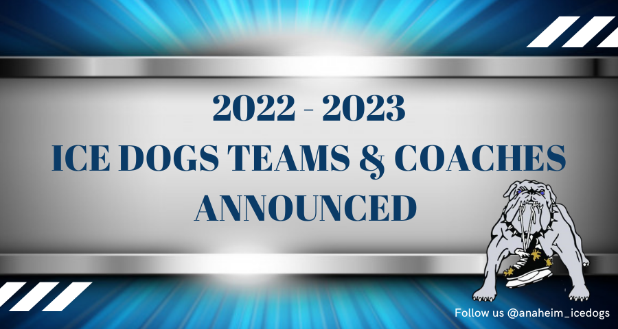 Ice Dogs Banners-2.png