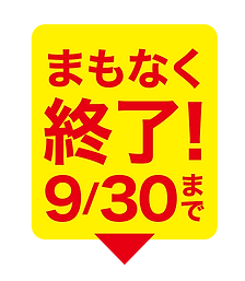 e930.png