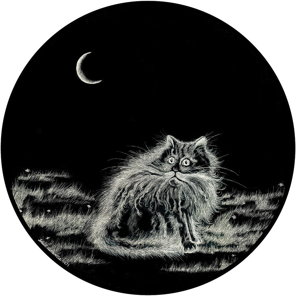 Thumbnail: Scaredy Cat