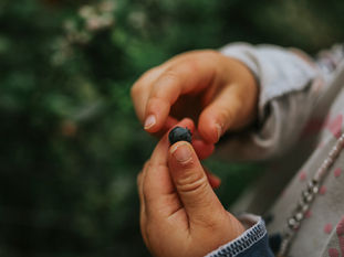A child holding a berry