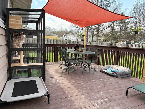 Backyard1.jpg