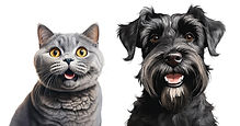 Charlie and Alfie_edited.jpg