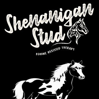 Shenanigan Stud_edited.jpg