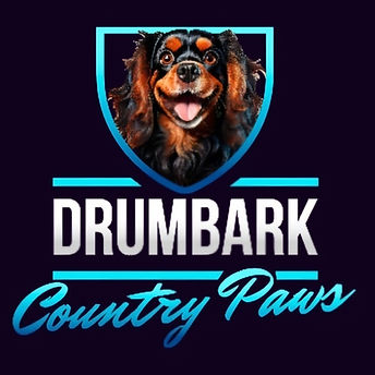 Drumbark_edited.jpg