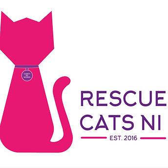 rescue cats ni_edited.jpg