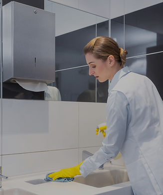 Bathroom Cleaner_edited_edited.jpg