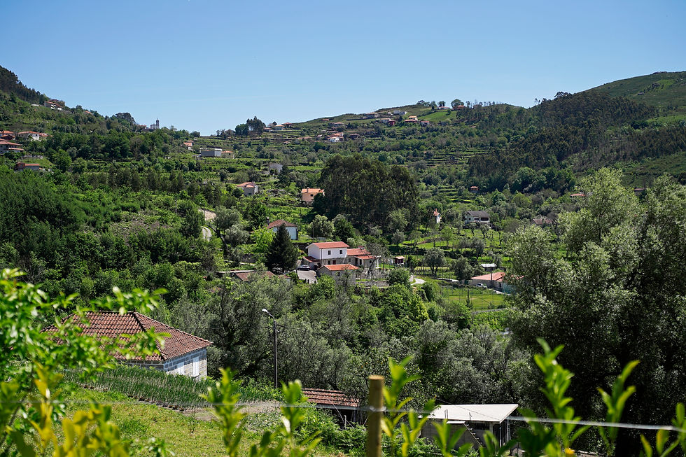 A casa de sobrado_11.jpg
