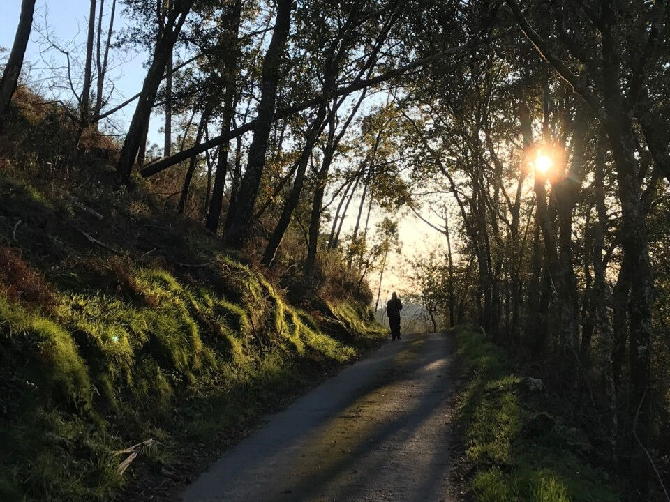 Caminhos da aldeia - Barros, Vila Verde, Minho - Portugal
