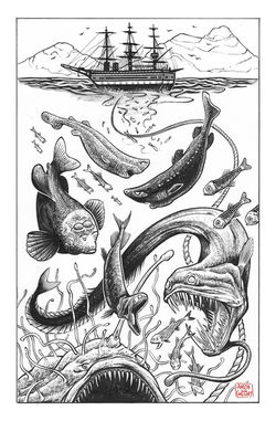 EOTS: Chapter 4 - Illuminations