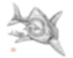Megalodon vs. Rough-toothed Dolphins