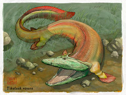 Tiktaalik