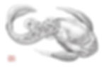 Bothriolepis