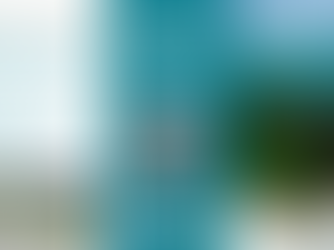 Marine Restoration on the Horizon: Reflecting on Scotland’s upcoming Marine and Coastal Restoration Plan