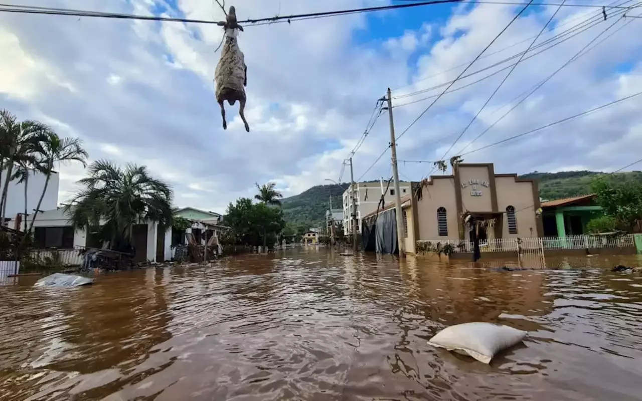 cen-rio-de-guerra-diz-prefeito-de-cidade-do-rs-des-cen-rio-de-guerra-diz-prefeito-de-cidad