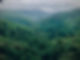 waren-brasse-IzCUWUi_j8I-unsplash-2.jpg