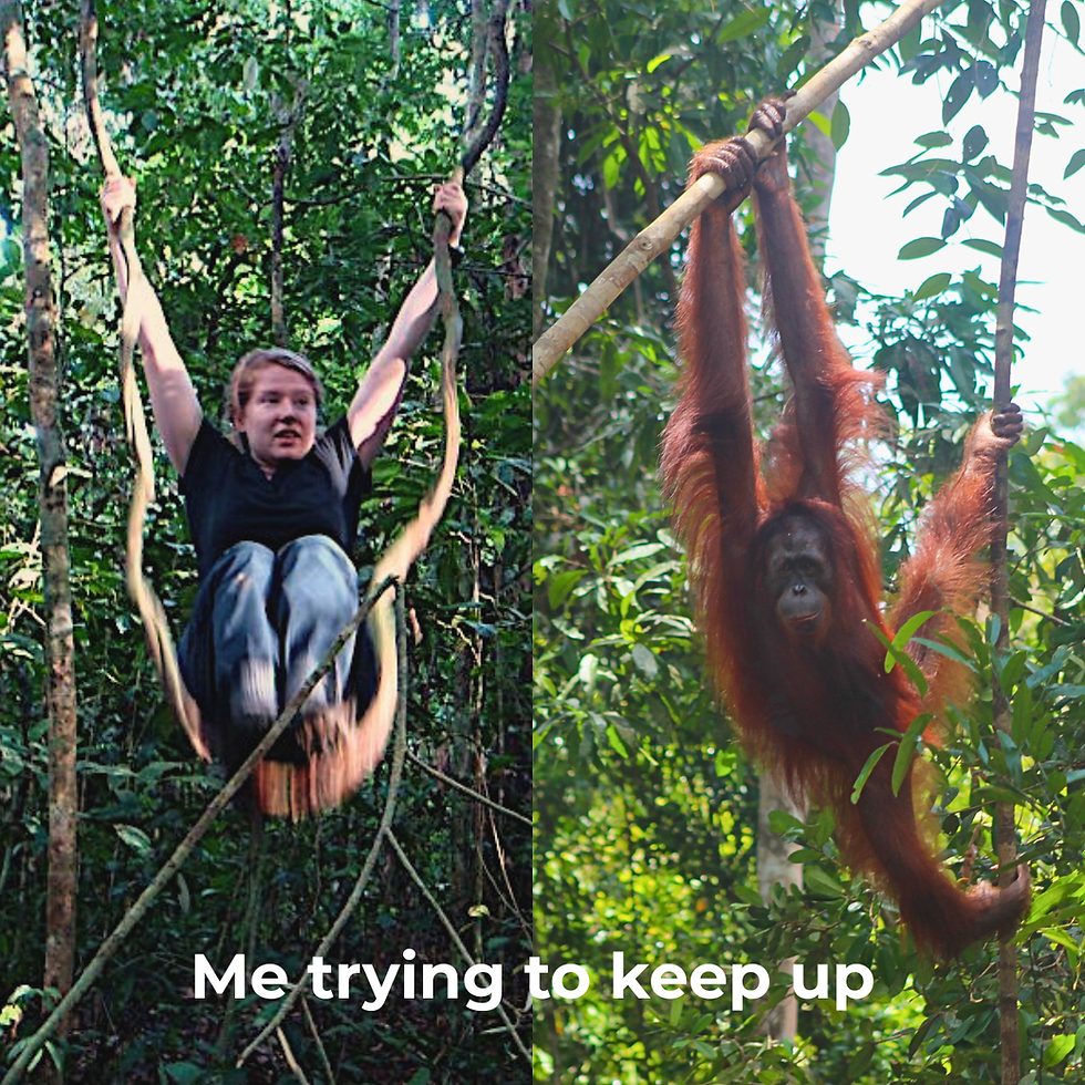 The King of the Swingers: Why Captive Complexity Isn't a Luxury - It's a Lifeline