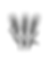Progetto senza titolo (7).png