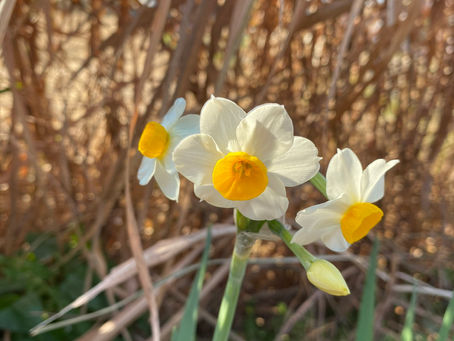 神を信頼する＊ルカ6章37・38節
