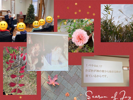 「クリスマスアドベントメッセージ🎄」✴︎マラキ書3章1〜5節