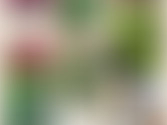 「いのちの書」＊ルカ10章17〜20節