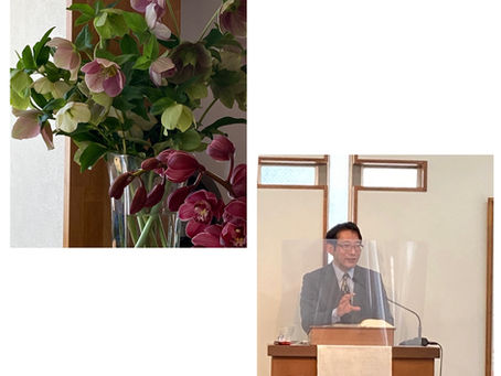 「子育ての秘訣」＊第一サムエル記2章12〜36節