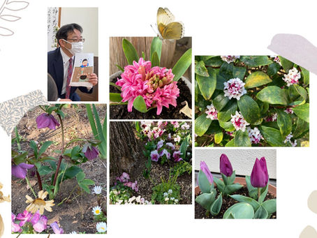 「イエスさまが下さる気づき」＊ルカ9章49〜50節