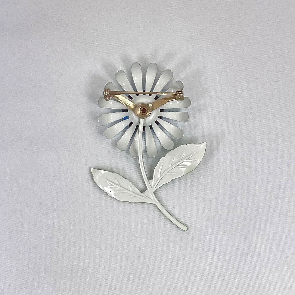 Miniatura: Senecio