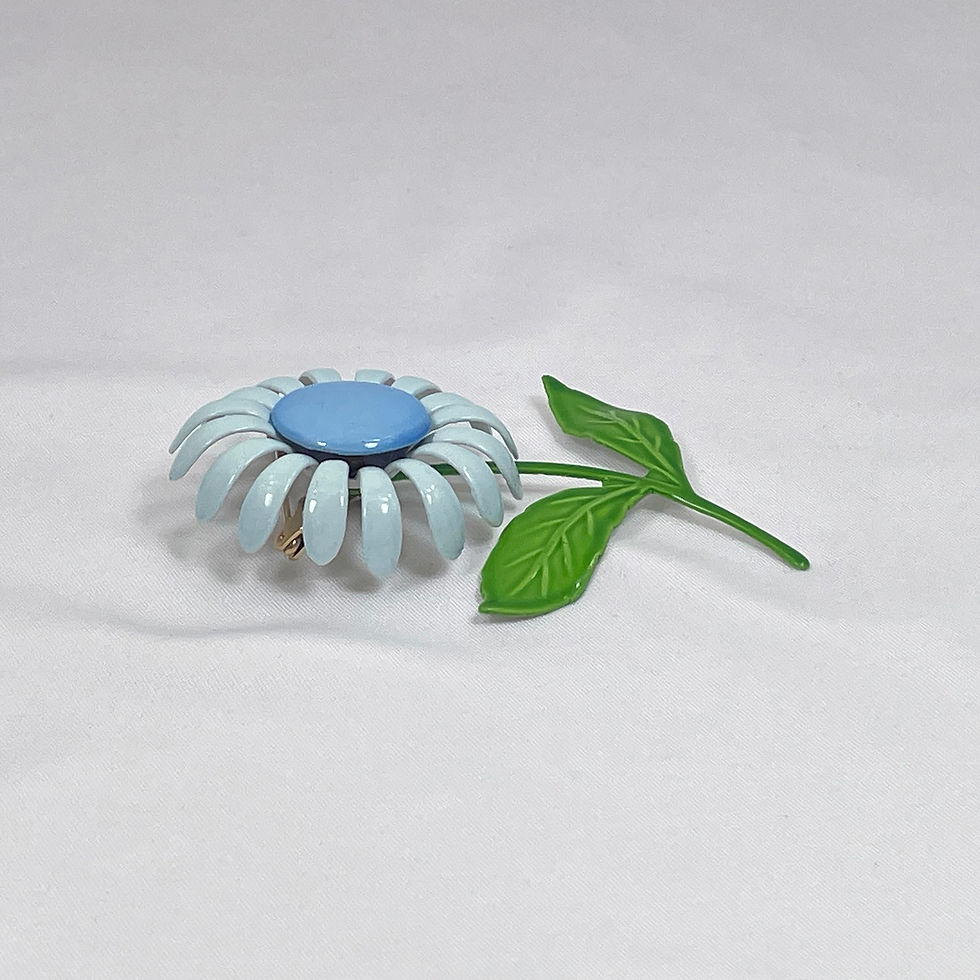 Miniatura: Senecio