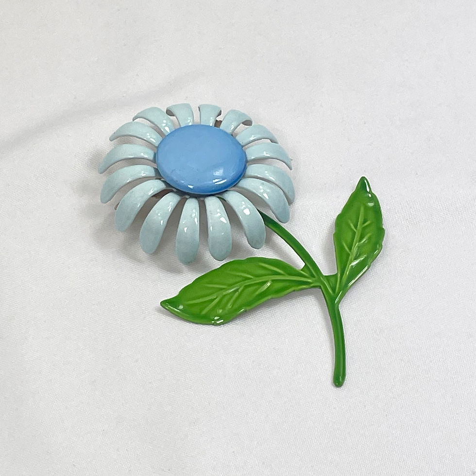 Miniatura: Senecio