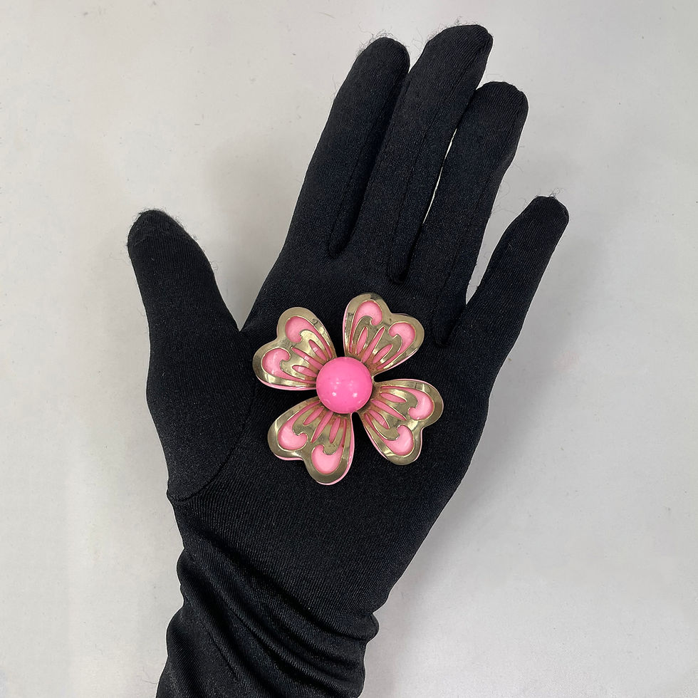 Miniatura: Primula