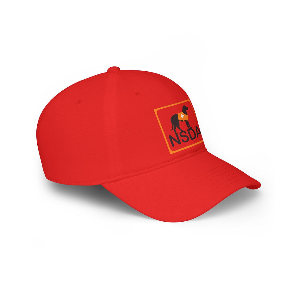 Thumbnail: Low Profile Baseball Cap